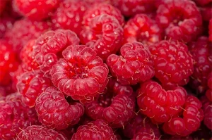 framboises